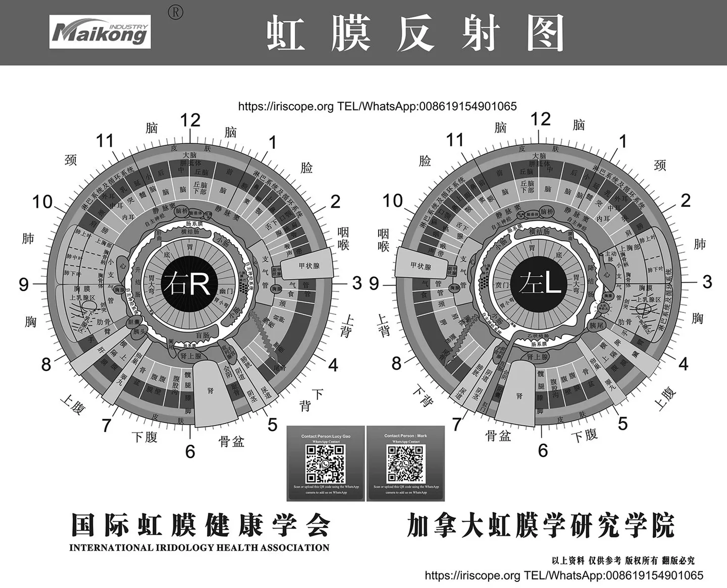 Advanced Iriscope I60 v5.1 — Practical guide for UK nutrition consultants — MAIKONG iridologia mapa (12).jpg