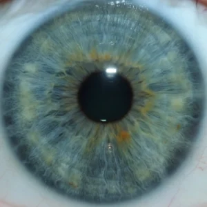 Who in the UK actually uses iriscope systems — a practical guide for holistic health educators — Global-map-showing-Maikong-iriscope-distribution-network-1024x585.jpeg