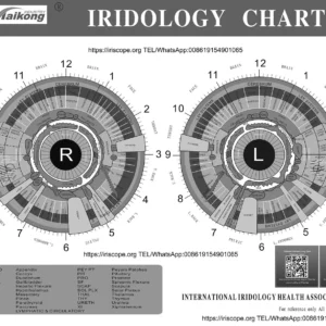What reflexologists should know when searching for an iriscope in the UK — MAIKONG iridologia mapa (9).jpg